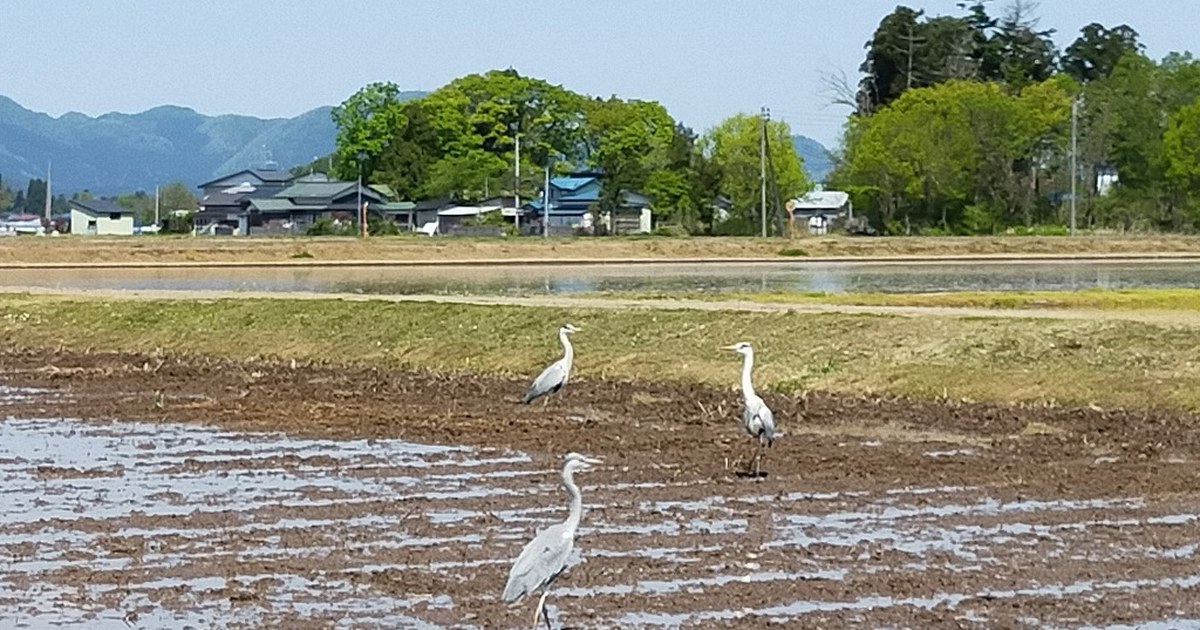 小場農園 - いつか、全量を直販で