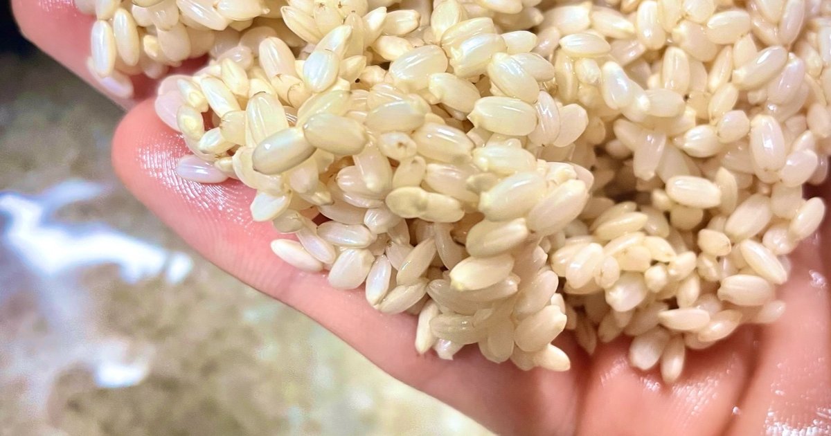 発芽玄米と家族の食卓