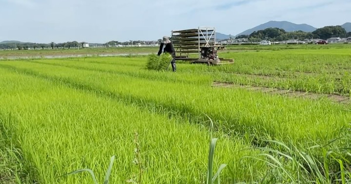 農業福島園