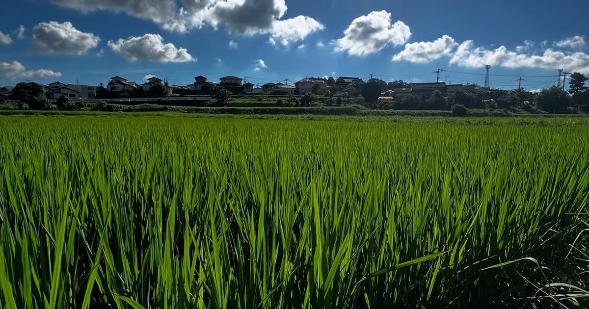 農業福島園