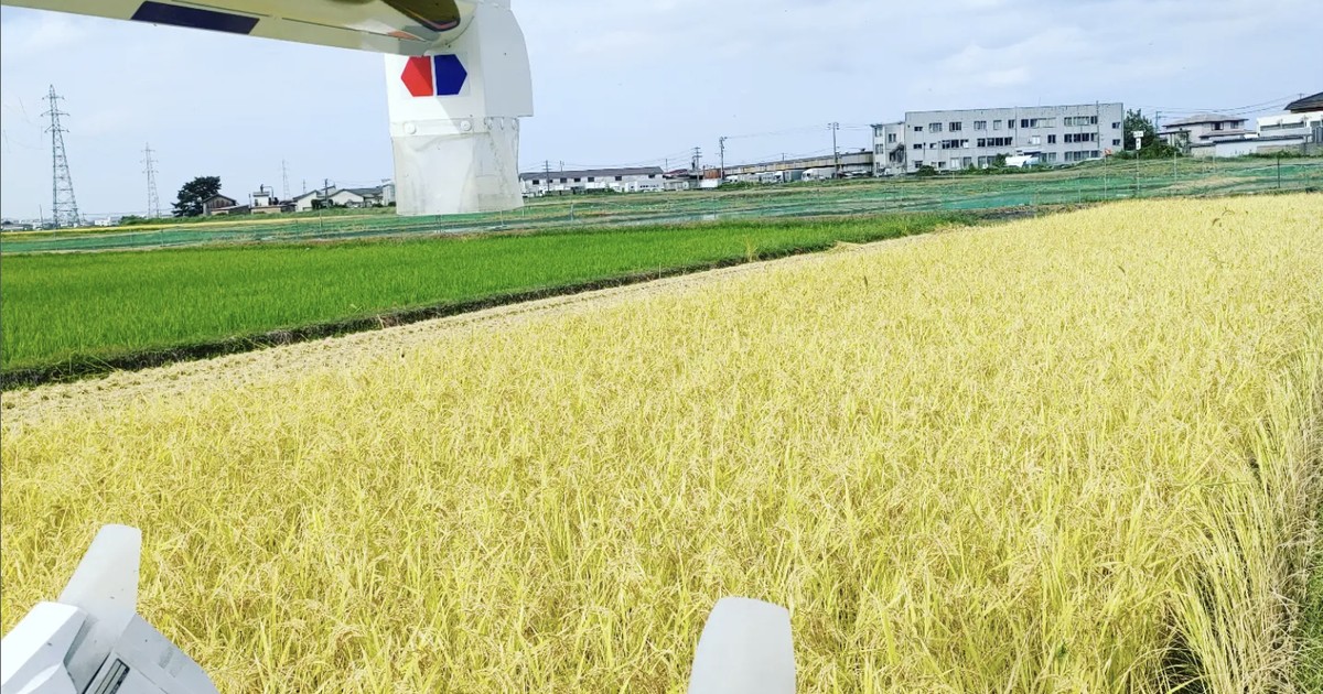 しみず農園