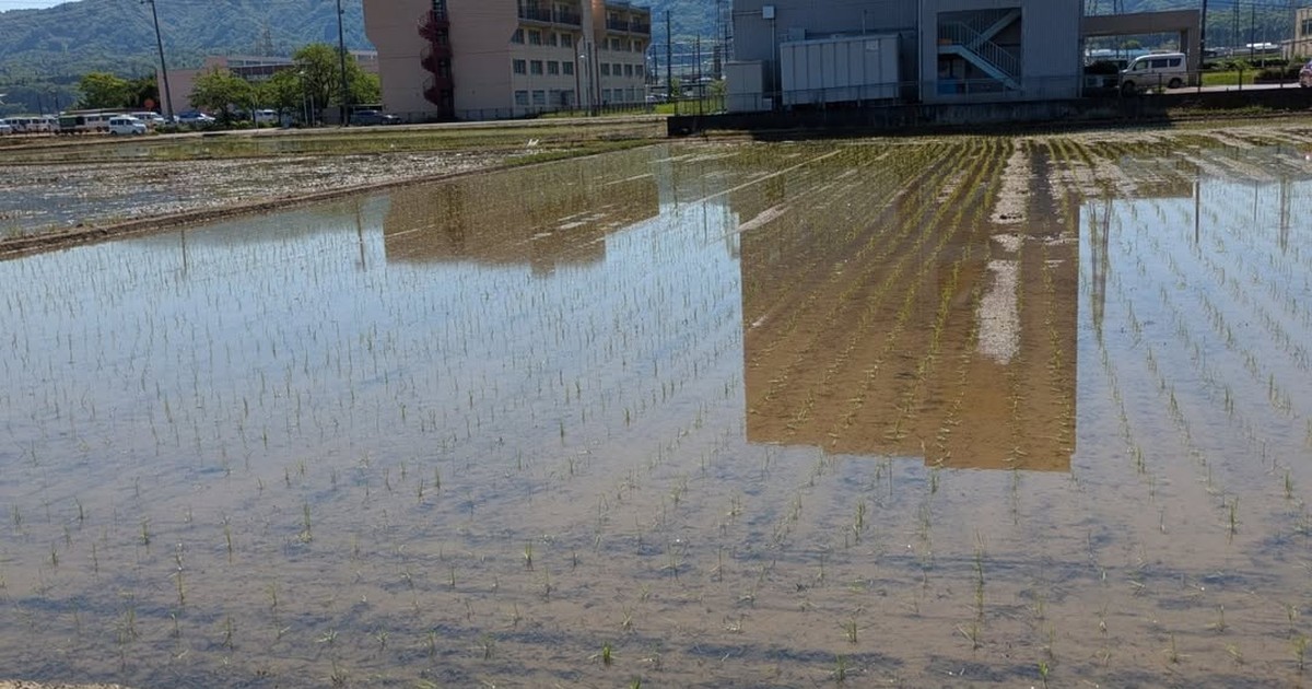 しみず農園