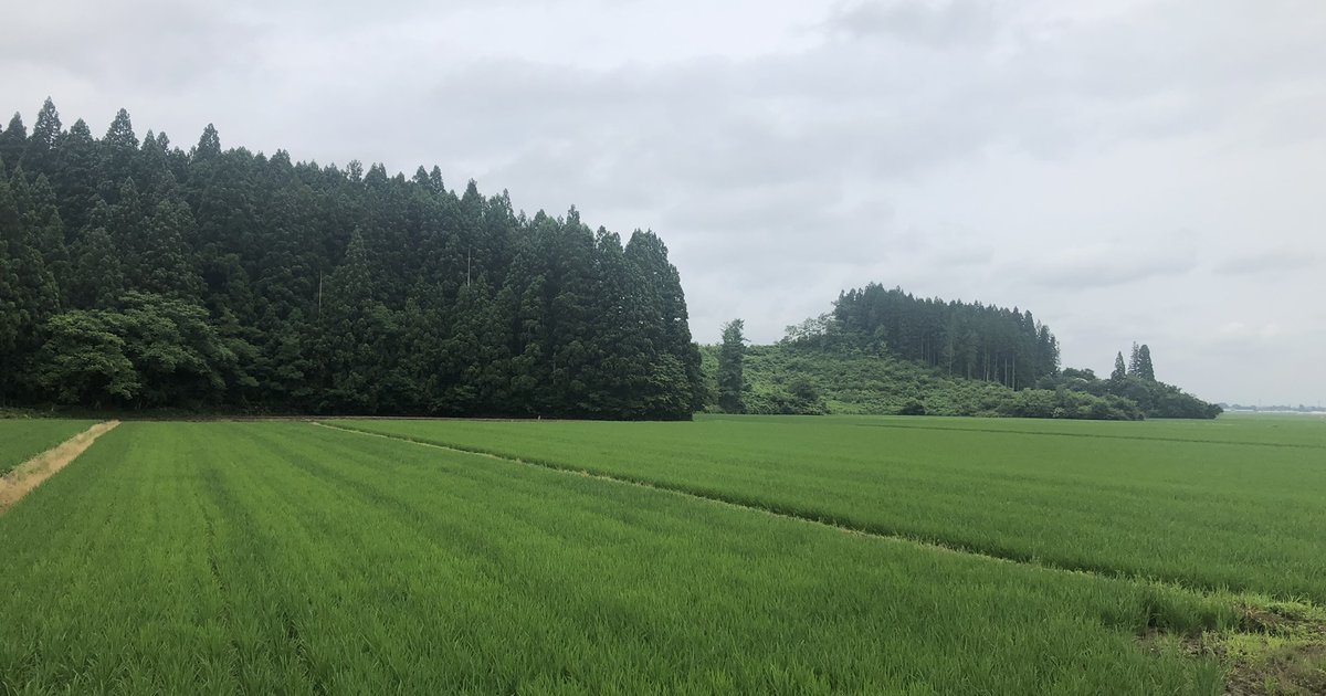 カネマタファーム - 自分たちで販路を作る