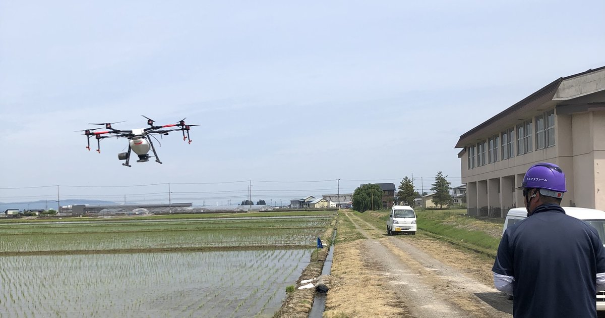 カネマタファーム - ドローン300町歩 稲作以外の協力も
