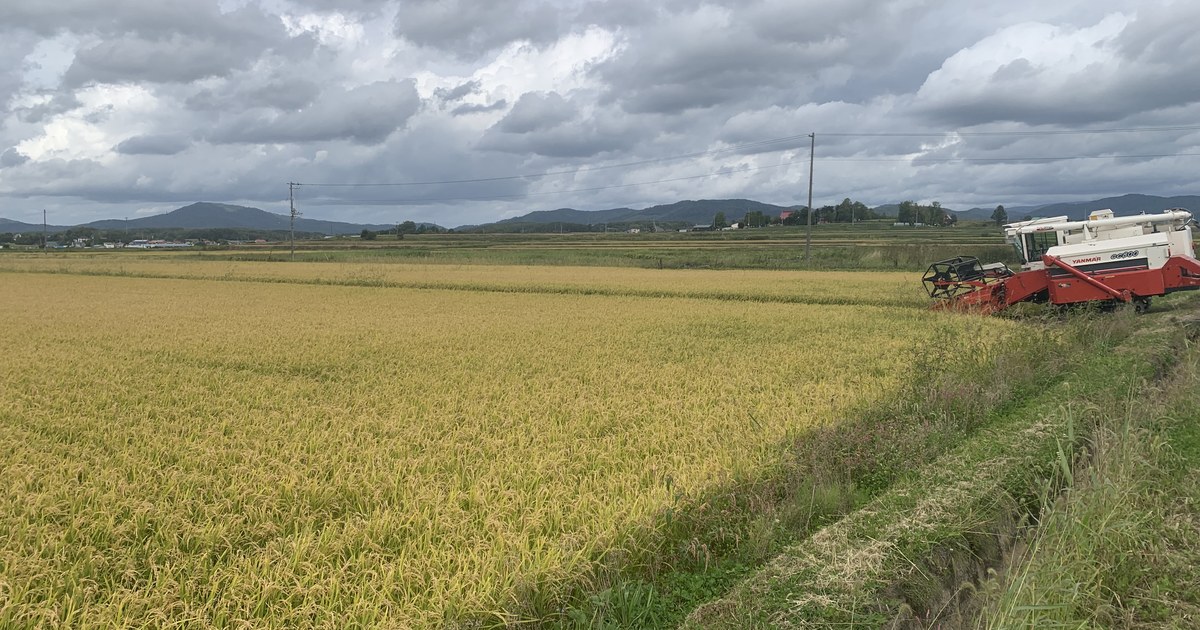 原崎農園 - 隣のご夫婦が、土地を見つけてくれた