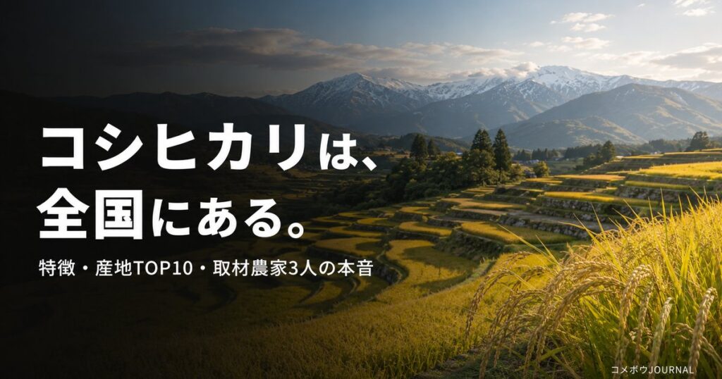 koshihikari-complete-guide 00_eyecatch