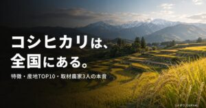 koshihikari-complete-guide 00_eyecatch