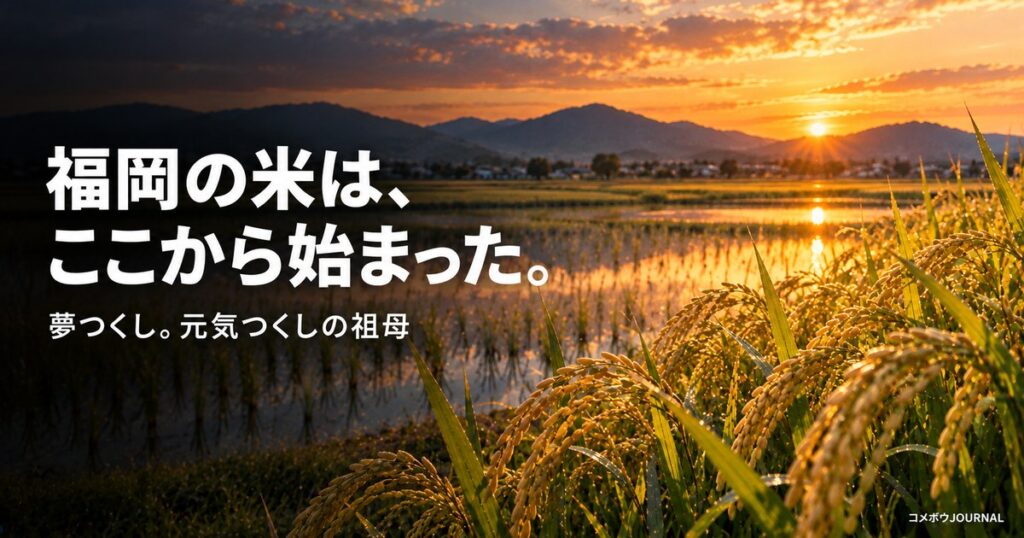 夢つくし完全ガイド｜福岡の米づくりの原点