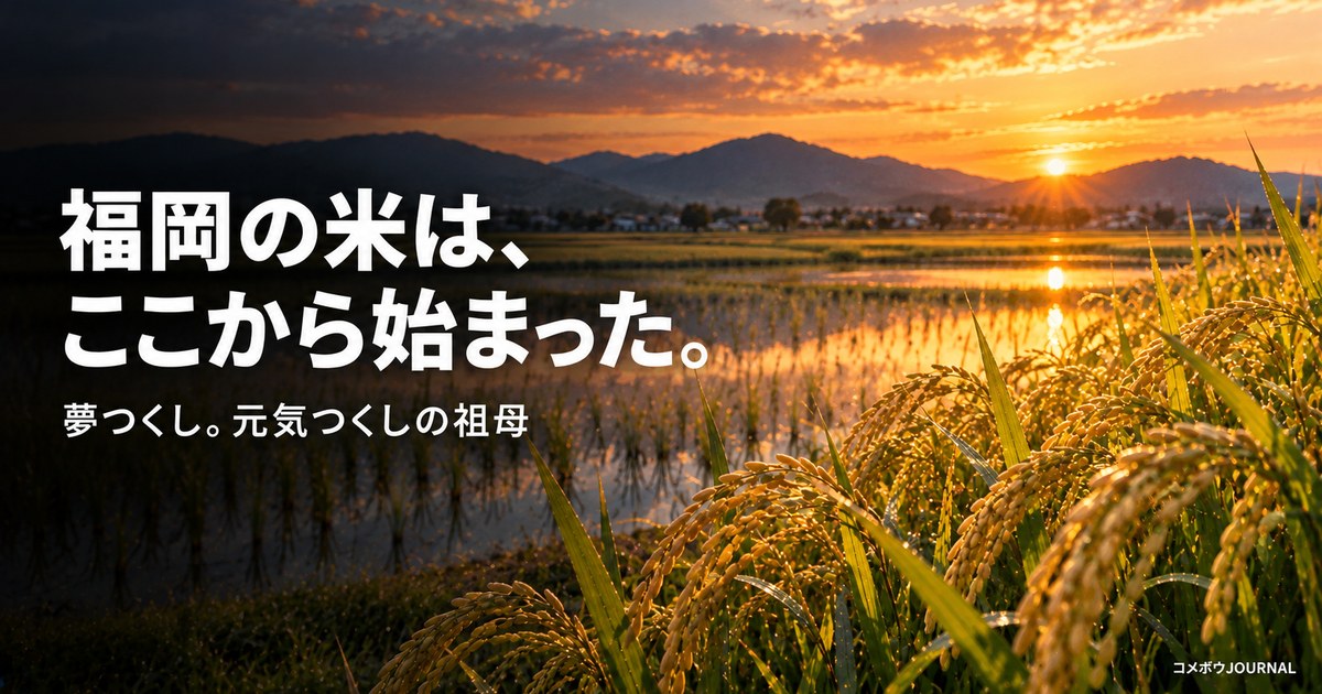 夢つくし完全ガイド|福岡の米づくりの原点
