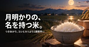 つきあかり完全ガイド｜月明かりの名を持つ早生米